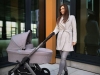 xlander xpulse